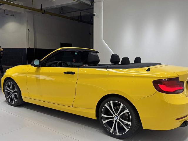 Crystal Sunflower Yellow – PVC High Gloss Vinyl Wrap