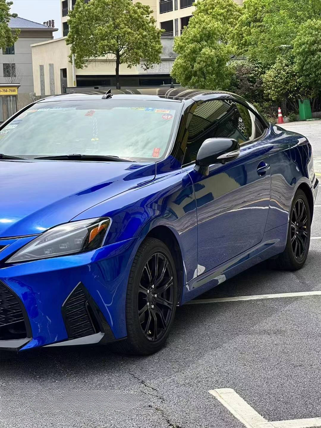 Ultra Gloss Metallic Blueberries
