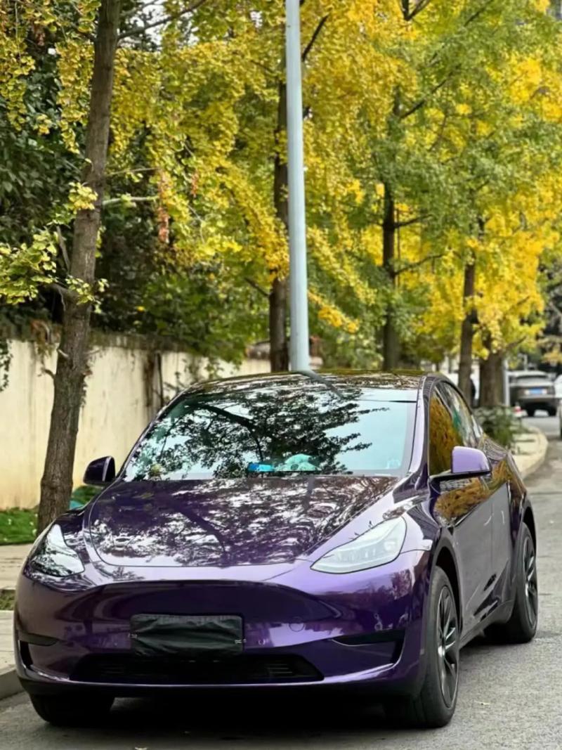 DISCONTINUED Venice Purple – PVC Metallic Gloss Vinyl Wrap